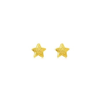 時尚星星 黃金耳環 (一對)_計價黃金