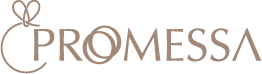 section 1 logo