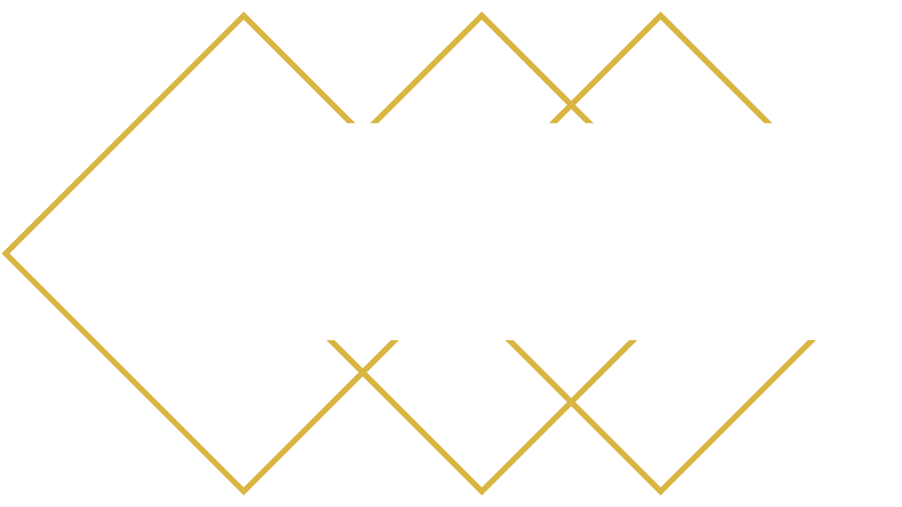 豬年金片