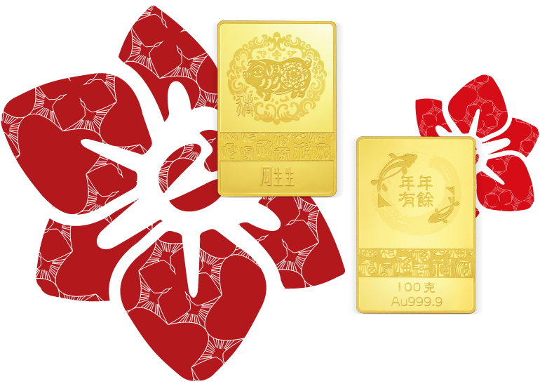 豬年金片