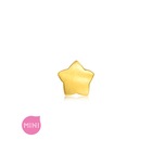 Fantasy' 999 Gold Star Charm