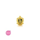 999 Gold Slytherin Charm