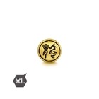 Noir' 999 Gold Dragon Charm