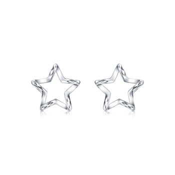950 Platinum Earrings